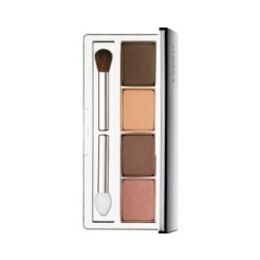 Sombra Clinique Colour Surge Eye Shadow Quad