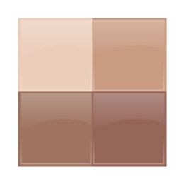 Sombra Clinique Colour Surge Eye Shadow Quad