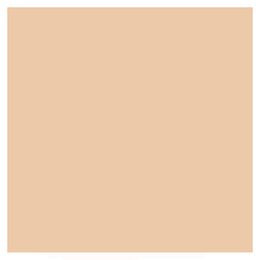 Corretivo Líquido Shiseido Synchro Skin Self-Refreshing Concealer