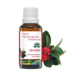 Óleo De Wintergreen Pronto Para Pele Wnf Natural
